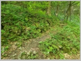 Slika_018.webp