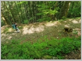 Slika_020.webp