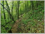 Slika_024.webp