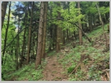 Slika_030.webp