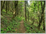 Slika_031.webp