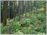 Slika_033.webp