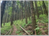 Slika_037.webp