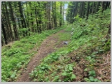 Slika_038.webp