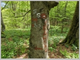 Slika_045.webp