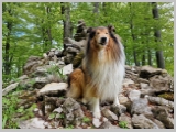 Slika_051.webp