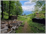 Slika_062.webp