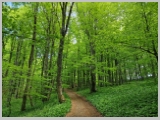 Slika_070.webp