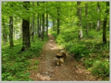 Slika_071.webp