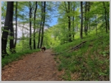 Slika_072.webp