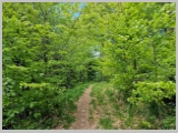 Slika_073.webp