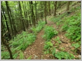 Slika_081.webp