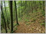 Slika_084.webp