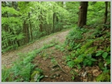 Slika_085.webp