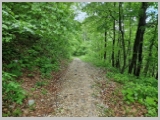 Slika_087.webp