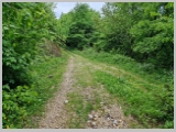 Slika_088.webp