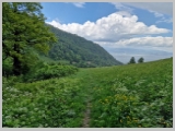 Slika_090.webp