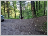 Slika_001.webp