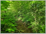 Slika_011.webp