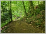 Slika_016.webp