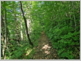 Slika_019.webp