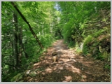 Slika_023.webp