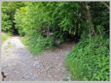 Slika_032.webp