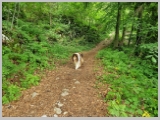 Slika_042.webp