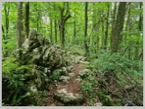 Slika_048.webp