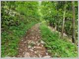 Slika_052.webp