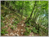 Slika_054.webp