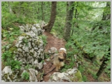Slika_055.webp