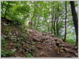 Slika_058.webp