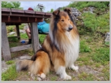 Slika_071.webp