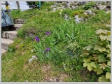 Slika_077.webp