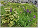 Slika_078.webp