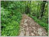 Slika_084.webp