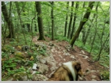 Slika_085.webp