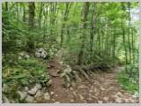 Slika_087.webp