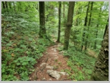 Slika_090.webp