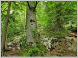 Slika_092.webp