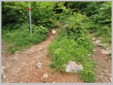 Slika_093.webp