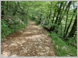 Slika_094.webp