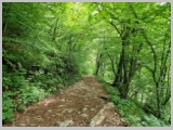 Slika_095.webp