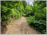 Slika_096.webp