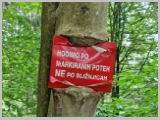 Slika_099.webp