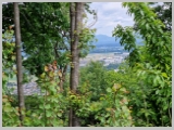Slika_101.webp