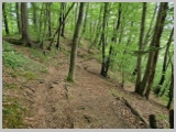 Slika_117.webp