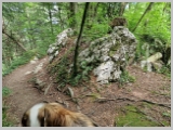 Slika_121.webp