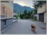 Slika_002.webp